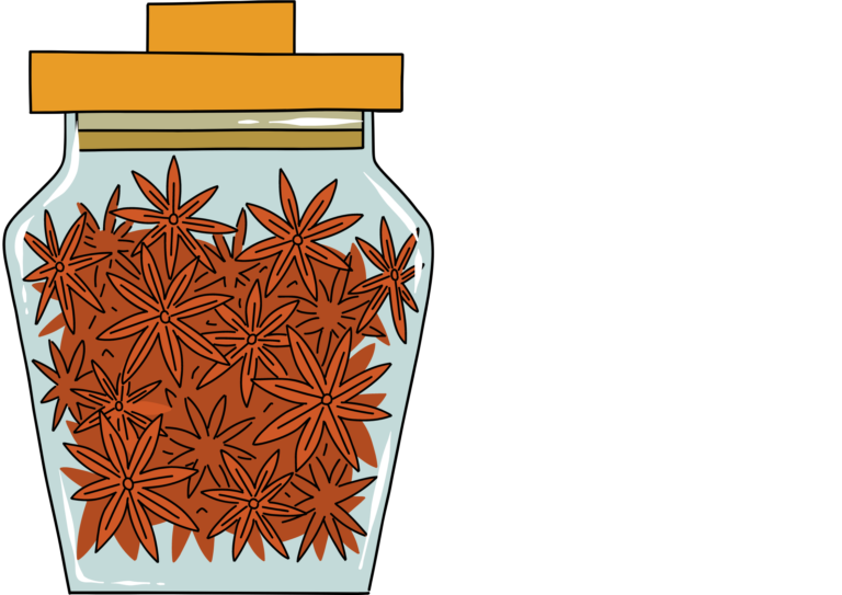 Star anise graphic